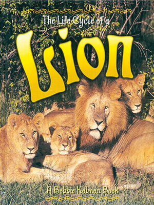 cover image of The Life Cycle of a Lion